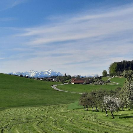 Ferienwohnung Pusteblume Neukirch  المظهر الخارجي الصورة