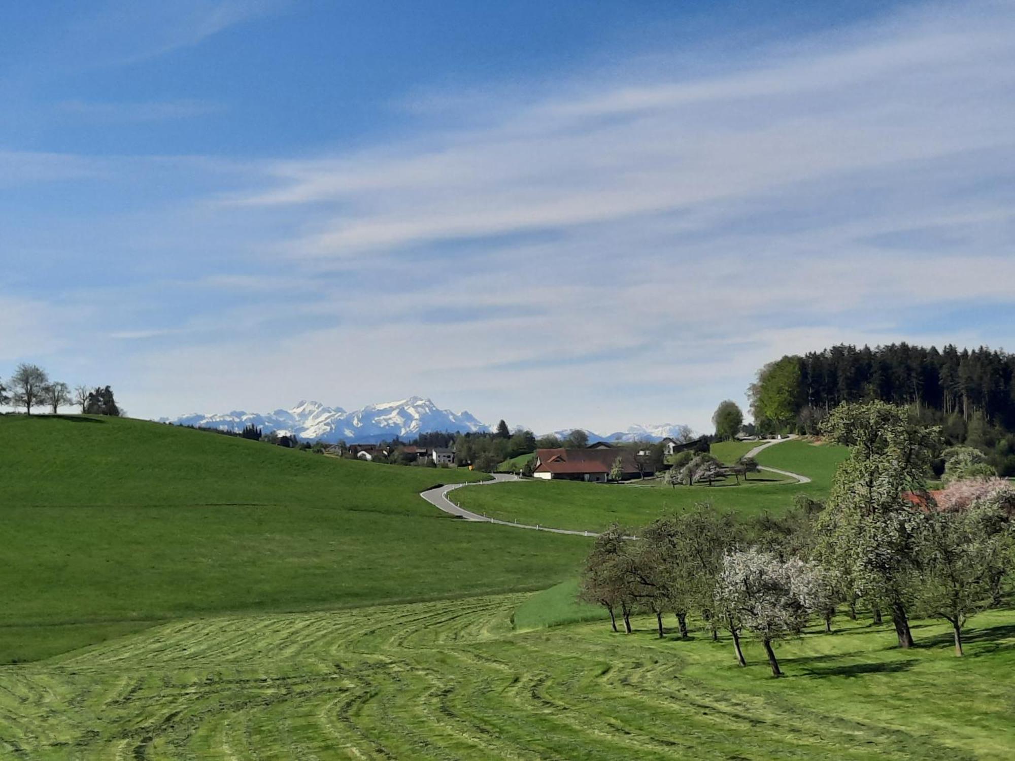 Ferienwohnung Pusteblume Neukirch  المظهر الخارجي الصورة